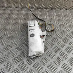 BMW X5 G05 X7 G07 Zijairbag 7483704
