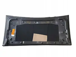 Vitre Portière Arrière Droite Tesla Model X OEM 1034903-00-Q LLU