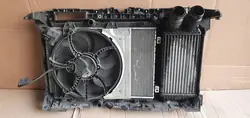 Peugeot 208 II Gruppo Ventola Radiatore Anteriore