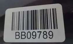 OEM 6004AGACHIMVZ1L Framruta för Nissan Qashqai