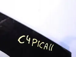 Begagnad OEM 43R001587 framruta för Citroën C5