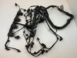 Fiação do motor Volkswagen Tiguan Allspace 2018 06L971627T