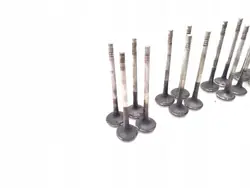 Soupape Audi A4 Diesel 2.0 TDI 125kW 16 PCS 2010-2012