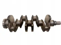 Krukas OEM 5907911228736 voor Peugeot 407 2.0 HDI