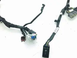 Cableado de portón Ford Mustang Mach-E LJ8T13A412