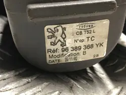 Prateleira de porta-malas OEM 96389368YK para Peugeot 307 (3A/C) 2004