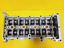 OEM DRC96349 Árvores de Cames & Tampa Válvulas Alfa