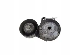 Tensor de correa alternador Nissan Juke I F15 - Usado