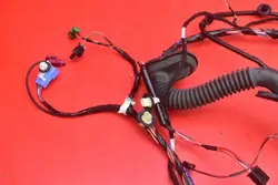 Faisceau Porte Avant Droit Tesla Model 3 OEM 1067963-00-E