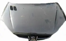 Tampa do motor dianteira Peugeot 206 OEM SSA35232