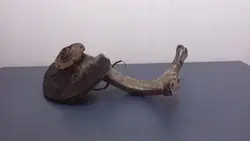 Audi A4 B6 2.0B etu-oikea nivelpuoli OEM 8E0407242B