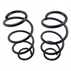 Molas traseiras Renault Express Van 550204946R