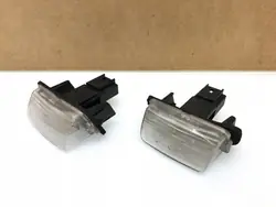 Conjunto luz matrícula OEM Peugeot 207 - Completo