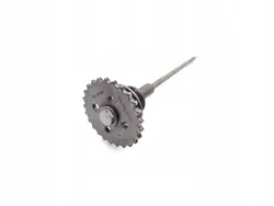 Audi A6 Distributiekettingtandwiel OEM 079109570AP