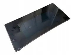 Vitre Portière Arrière Gauche Tesla Model X OEM 1034902-00-Q LLU