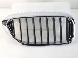 BMW G30 G31 Right Grille Original Chrome Basic 7383520