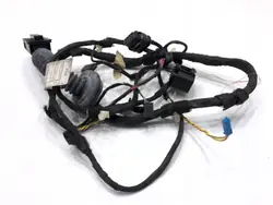 Rear Right Door Wiring BMW X5 F15 OEM LORK-2282-100270