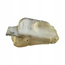 Depósito de limpiaparabris NISSAN QASHQAI (J10, JJ10) OEM 28910JD000