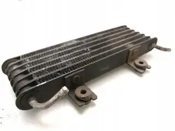 Gebrauchter Opel OE Kraftstoffkühler OEM ARA193695