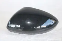 OEM 963736905R Linker Spiegelgehäuse für Renault
