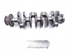 Virabrequim Ford Transit Connect UBGA 1.6 TDCi Diesel