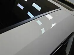 Centre de toit Porsche Panamera OEM LPV16068