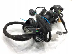 Left Front Door Wiring Ford Ecosport GN15-14631-AND OEM