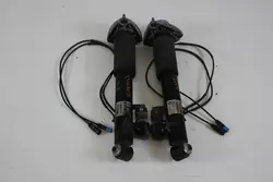 Ammortizzatori posteriori BMW X5 F15 OEM