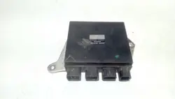 Lexus GS 3.0 Insprutningsmodul OEM 8987130030