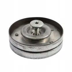 Rodillo de Correa Audi A5 8T 06H903341D