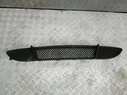 Griglia Paraurti Anteriore BMW 1 51117131690A