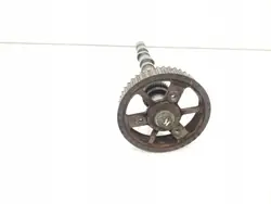 Arbre à cames OEM 059109111F pour Volkswagen Passat B5.5