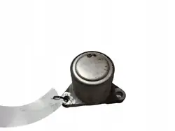 Keilriemenspanner OEM JUT142262 für Kia Carens II