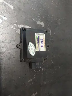 LPG Gasmodul OEM AE616000036 Stella Steuergerät