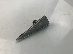 OEM 18089969 Clignotant Avant Gauche Renault