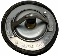 Termostato TER-NIS-QAS-J10-BENZ para Nissan Qashqai