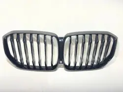 BMW X5 G05 Nierengrill OEM 7454887 - Gebraucht