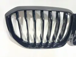 Grille Rein BMW X5 G05 OEM 7454887 - Occasion