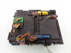 BSI S108551200 para Peugeot 406 2.0 HDI - Siemens