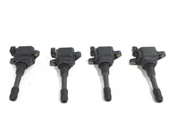 Zündspule Renault Grand Scenic III 1.4 131PS 224337085R