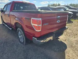 Panel lateral de caja Ford F150 OEM Pakaf150 - Usado