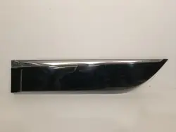 Left Rear Door Trim Renault Scenic III + Chrome - 828772501R