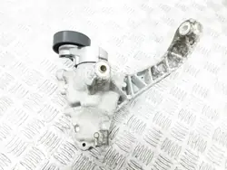 Tendeur de courroie alternateur AG9N19N586AA Volvo XC60