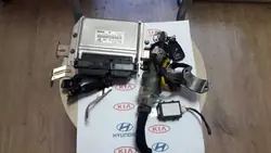 Kia Sportage II 04-10 2.0 CRDI ECU OEM 39104-27400