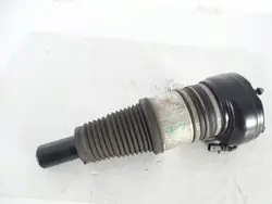 Amortisseur Pneumatique Porsche OEM 95B616039E ACP