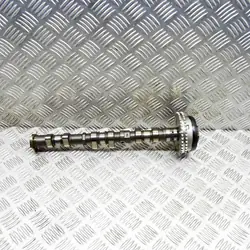 Árbol de levas de escape Porsche Panamera (970) 3.0L OEM 94610505276