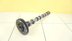 OEM 55570028 Árvore de cames escape Opel 1.6 CDTI