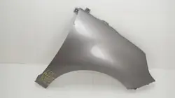 OEM 360206039 Framhöger stänkskärm för Renault