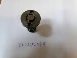 Soupape de Phase Arbre à Cames OEM 06H109257A - Occasion