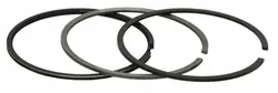 PS 1450750100 STD Segments pour Ford 1.6TDCi Diesel